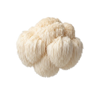 Lions Mane